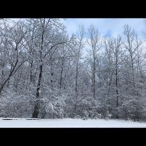 Meet your Posher, Amit